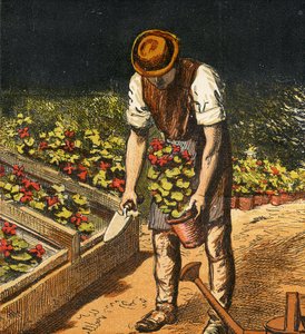 De Tuinman, 1867