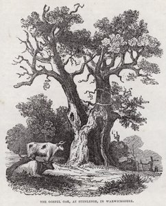De Evangelie-eik, Stonleigh, Warwickshire (gravure) door English School