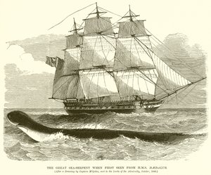 De Grote Zeeslang toen voor het Eerst Gezien vanaf H.M.S. Daedalus