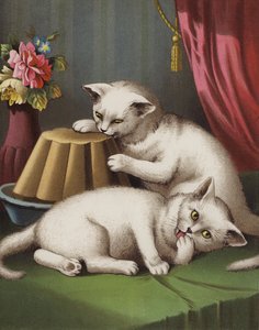 Het Gulzige Kitten