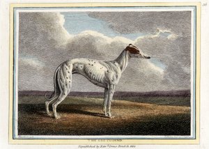 De Windhond, uitgegeven 1812