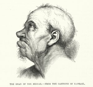 Het Hoofd van de Bedelaar, van de cartoons van Raphael