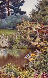 De kruidentuin: Kruiden aan het water door English School