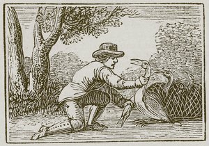 De boer en de ooievaar (gravure) door English School