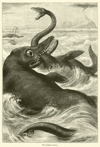 De Ichthyosaurus (gravure) door English School