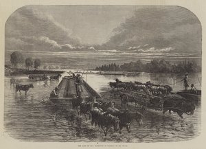 Het land van olie, transport van vaten op Oil Creek (gravure)