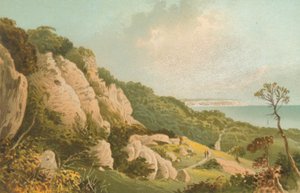 De Aardverschuiving bij Ventnor--Isle of Wight door English School