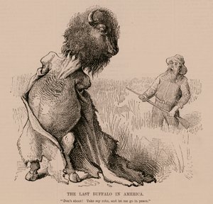 De laatste buffel in Amerika (gravure)