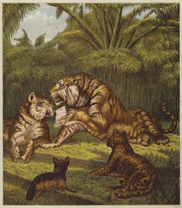 De ontvangst van de leeuw (kleur litho) door English School