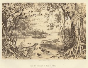 De Ma-Robert op de Zambezi
