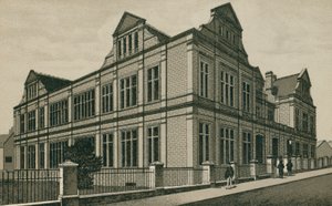 Het museum, Ipswich (litho) door English School