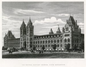 Het Natuurhistorisch Museum, 1881 door English School