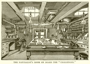 De kamer van de natuuronderzoeker aan boord van de Challenger door English School