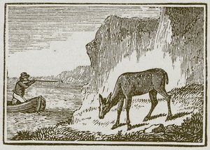 De eenogige hinde (gravure)