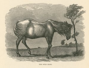 De Ould Mare (gravure)