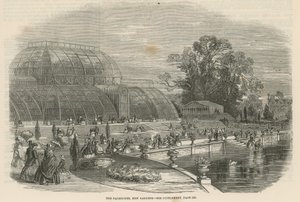 Het Palmhuis, Kew Gardens, Londen door English School