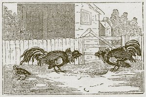 De patrijs en de hanen (gravure) door English School