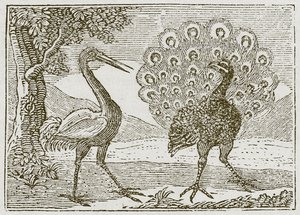 De pauw en de kraanvogel (gravure) door English School