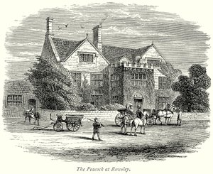 De pauw in Rowsley (gravure)