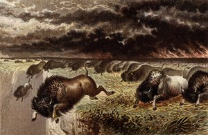 De prairie in brand door English School