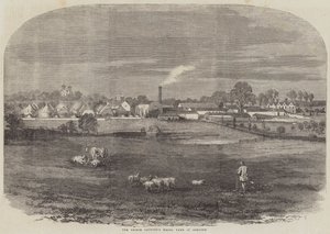 Het Modelboerderij van de Prins-Gemaal in Osborne door English School