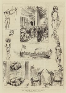 De Prins van Wales in Ceylon door English School