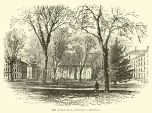 De Binnenplaats, Harvard University
