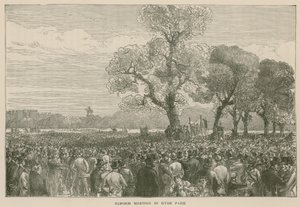 De Hervormingsdemonstratie in Hyde Park, 6 mei 1867 door English School