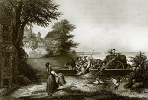 De Rijnveer