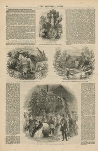 De Koninklijke Botanische Tuinen door English School