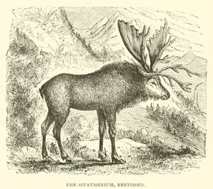 De Sivatherium, gerestaureerd