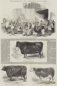 De Smithfield Club kerstveetentoonstelling door English School