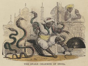 De slangenbezweerder van India (gekleurde gravure)
