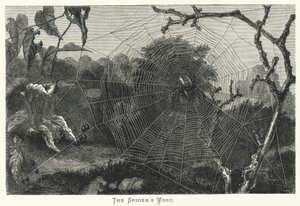 Het werk van de spin (gravure)
