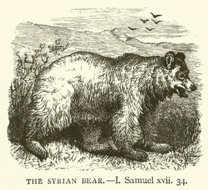 De Syrische Beer, I Samuel, xvii, 34 (gravure) door English School