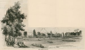 De Thames Regatta door English School