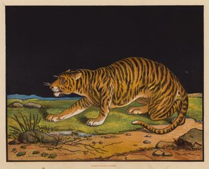 De Tijger