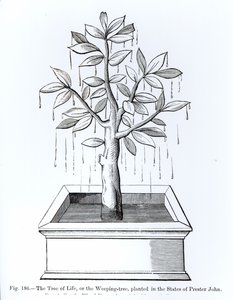 De Boom des Levens, of de Treurboom, geplant in de Staten van Prester John, illustratie uit Wetenschap en Literatuur in de Middeleeuwen en de Renaissance, geschreven en gegraveerd door Paul Lacroix, 187