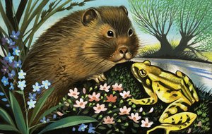 De waterwoelmuis