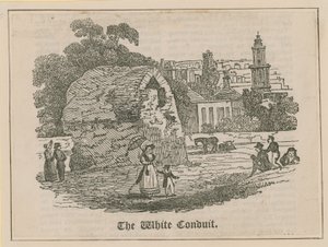 De White Conduit in Islington door English School