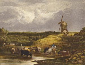 De molen