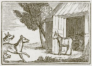 De wolven en de zieke ezel (gravure) door English School