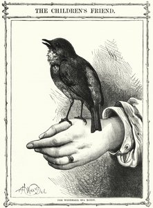 De Woodhall Spa Roodborst
