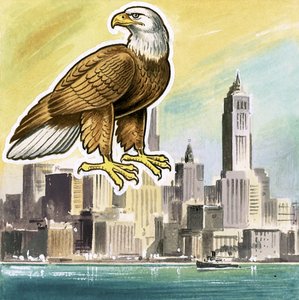 De Amerikaanse zeearend, symbool van de Verenigde Staten