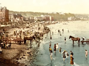Het strand, Douglas