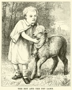 De jongen en het huisdier lam door English School