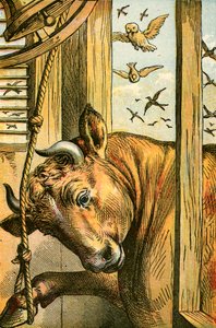 De stier die de bel luidt