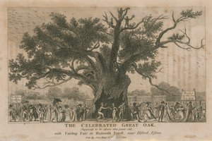 De beroemde Grote Eik, verondersteld meer dan 1800 jaar oud te zijn door English School