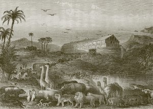 De intocht in de ark