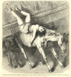 Het vurige ongetemde paard vergeet zijn rol, en het gordijn valt helaas